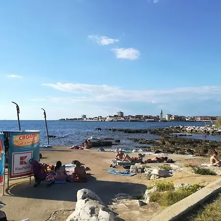 Runko * Umag