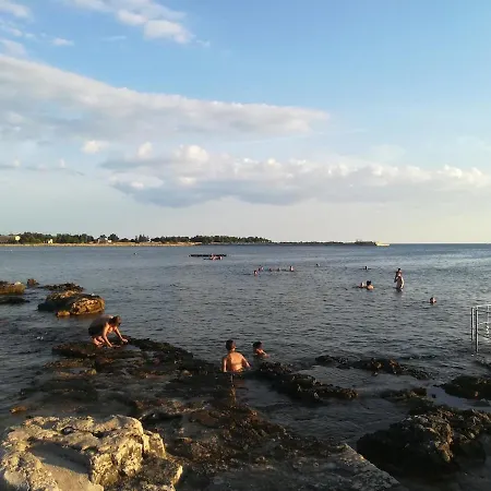 Runko * Umag